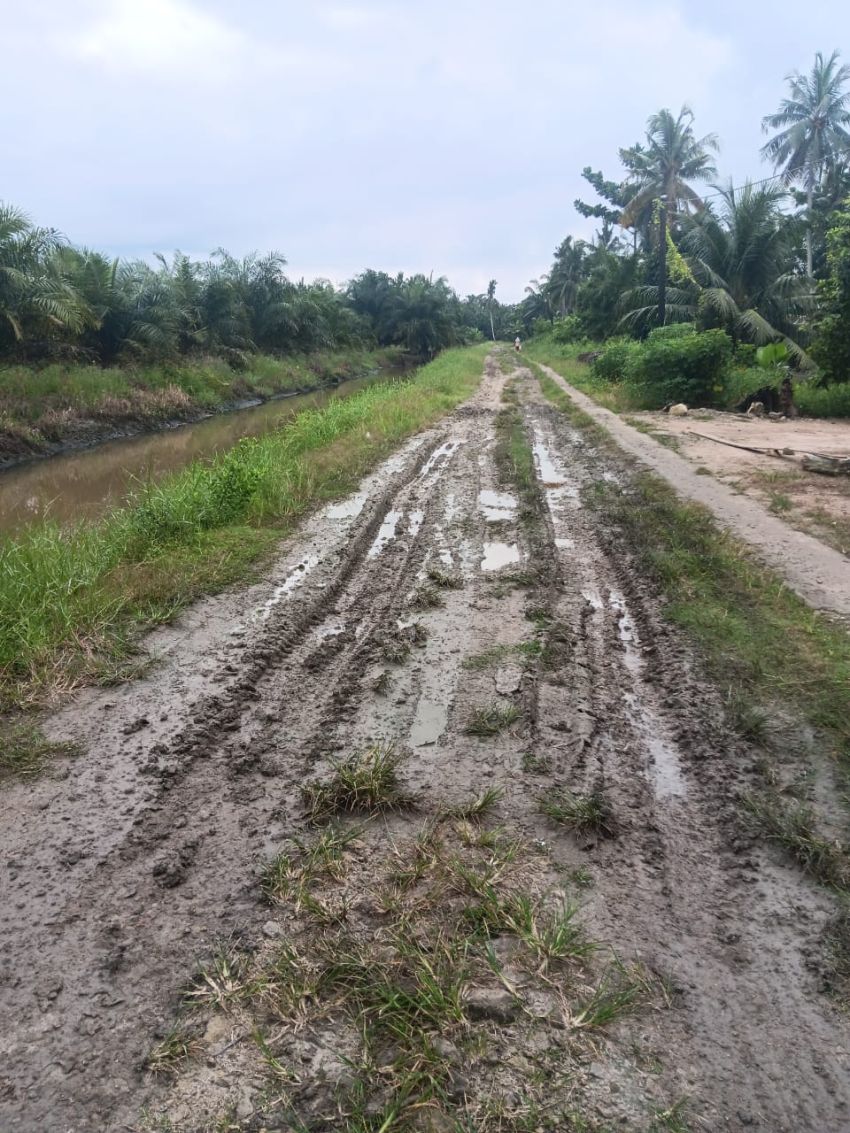Jalan Rusak Parah di Dusun IV Pematang Laban, Pemerintah Dinilai Tutup Mata