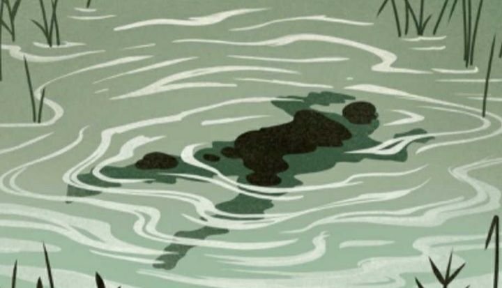 Geger! Warga Temukan M4yat Pria Tanpa Identitas Mengambang di Kali Gading Kirana