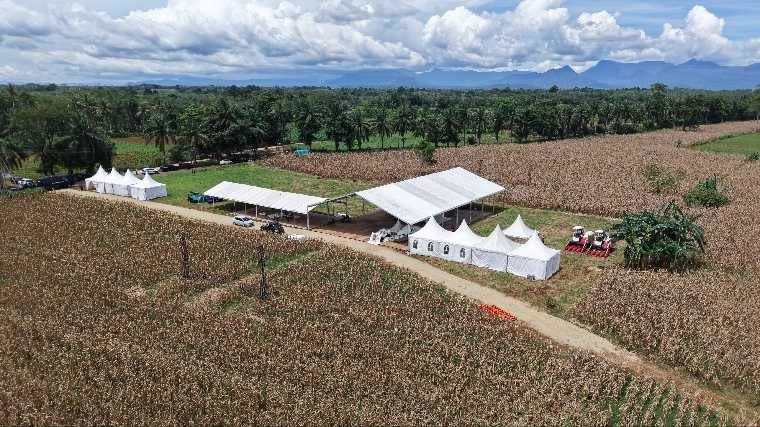 Ekspor Perdana Jagung dari Kalbar ke Malaysia, Indonesia Perkuat Daya Saing Agrikultur