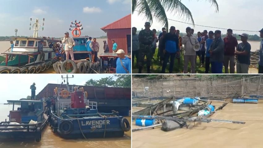 Tongkang Batu Bara Tabrak 20 Keramba Ikan di Muaro Jambi, Warga Rugi Ratusan Juta Rupiah