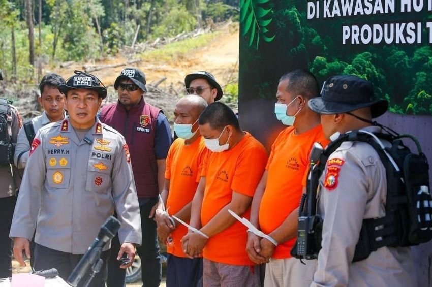 Hutan Lindung Riau Dijual Ilegal: ASN dan Perangkat Desa Jadi Tersangka, Modus Surat Adat dan Tanah Ulayat