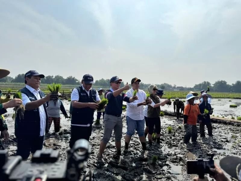 Pupuk Indonesia Pastikan Ketersediaan dan Keterjangkauan Pupuk Bersubsidi untuk Wujudkan Swasembada Pangan 2025