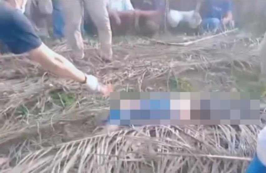 Diduga Korban Kejahatan, Penjaga Kebun Ditemukan T3was Tertutup Pelepah Sawit di Labusel