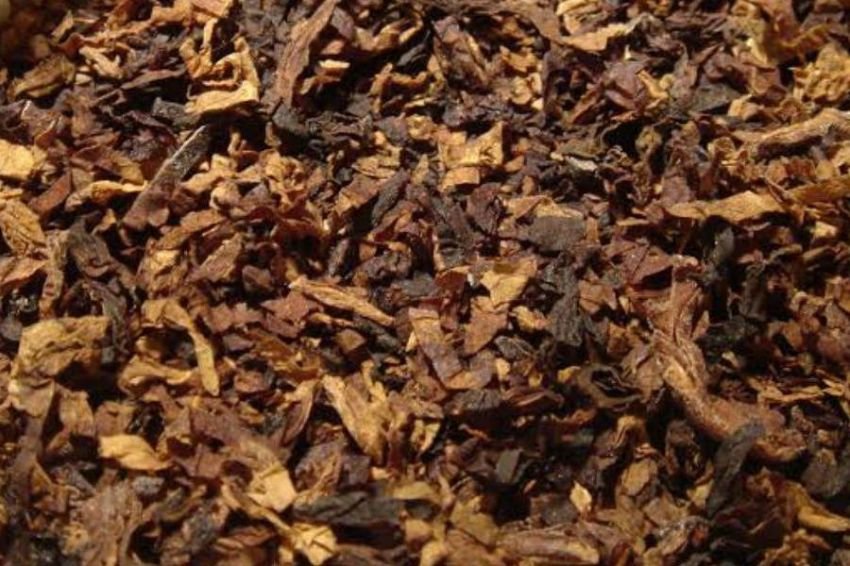 Penjualan Anjlok, PT Gudang Garam Setop Sementara Pembelian Tembakau dari Temanggung