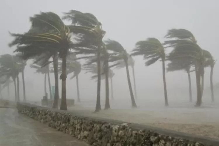 Ini Daftar Daerah di Sumut yang Berpotensi Terdampak Angin Kencang Hingga 12 Juni, Warga Diminta Waspada!