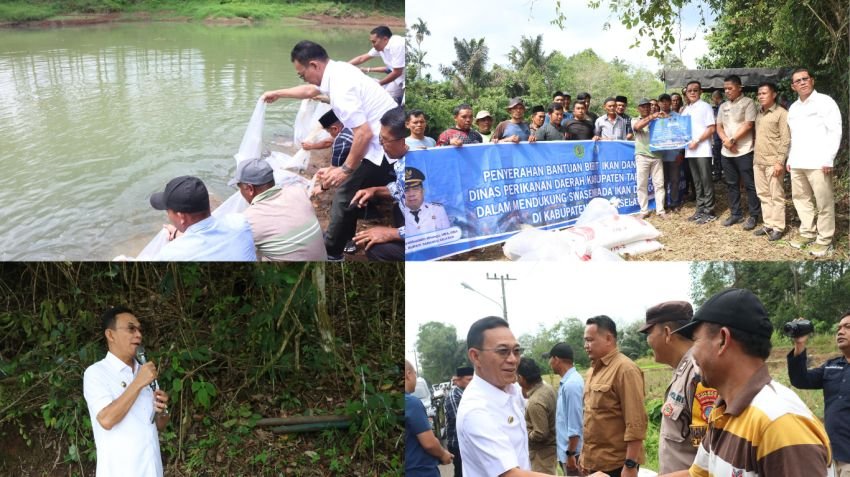 Pemkab Tapsel Genjot Program 1.000 Kolam, Targetkan Swasembada Ikan dan Ekonomi Warga Naik