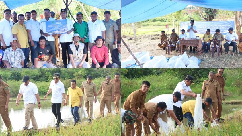 Tapsel Luncurkan Program Swasembada Ikan 1.000 Kolam, Dorong Ketahanan Pangan dan Ekonomi Lokal