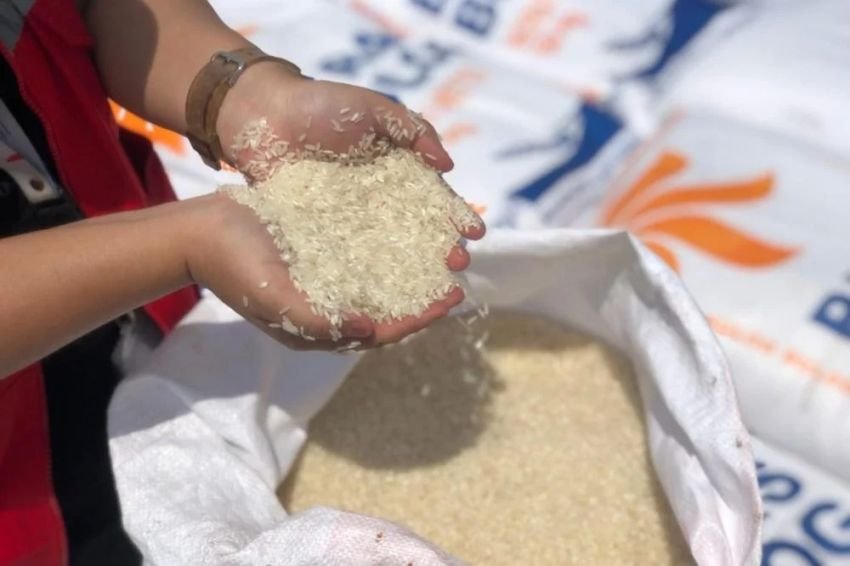 FAO Tetapkan Indonesia sebagai Produsen Beras Terbesar Keempat Dunia, Produksi Capai 35,6 Juta Ton