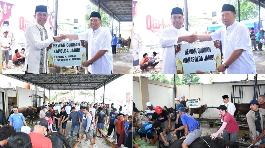 Kapolda Jambi Serahkan Hewan Qurban, Polda Jambi Salurkan Ratusan Kantong Daging Idul Adha 1446 H