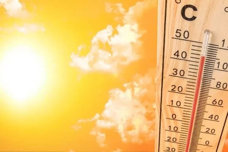 Suhu Udara Medan Capai 37&deg;C, BMKG Imbau Warga Kurangi Aktivitas Luar Ruangan