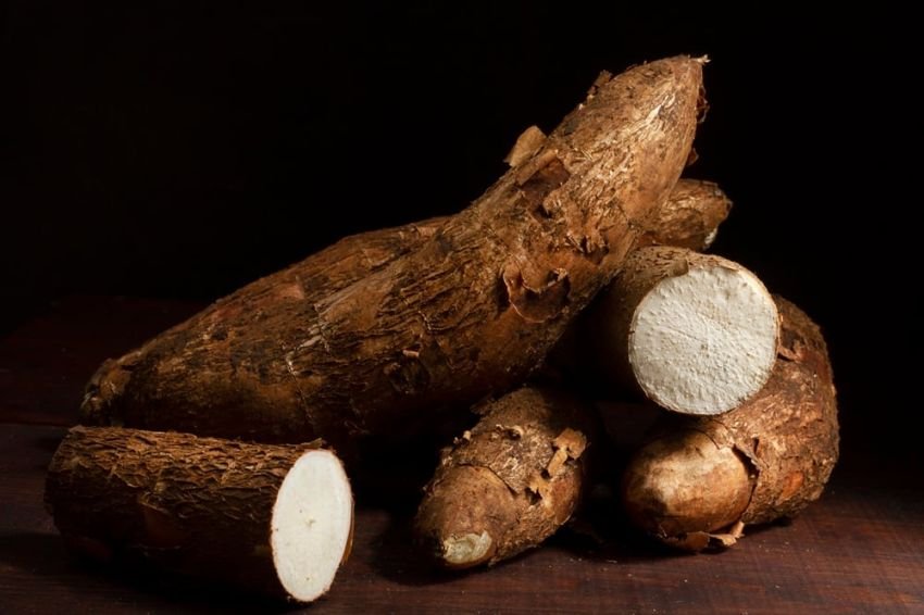 Fraksi PKB DPRD Lampung Desak Pemerintah Hentikan Impor Tapioka, Bela Nasib Petani Singkong