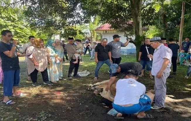Dishub Medan Sembelih 9 Hewan Kurban Idul Adha 1446 H, 1 Sapi Disumbangkan ke Tuna Netra
