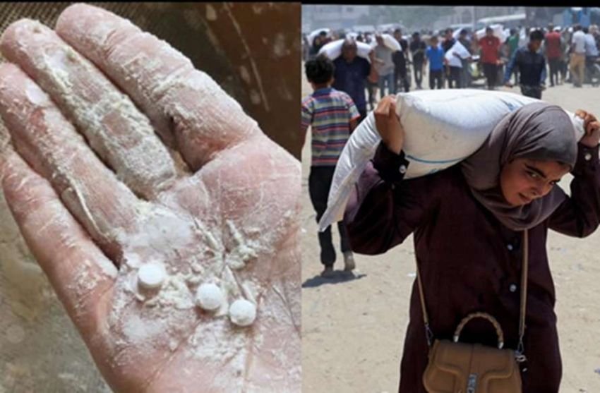 Tepung atau Racun? Gaza Geger Temuan Pil Narkoba dalam Bantuan Kemanusiaan