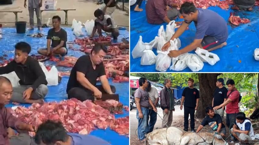 Iduladha 1446 H, Komunitas Warkop Jurnalis Medan Sembelih 6 Hewan Kurban: Simbol Kebersamaan dan Keikhlasan