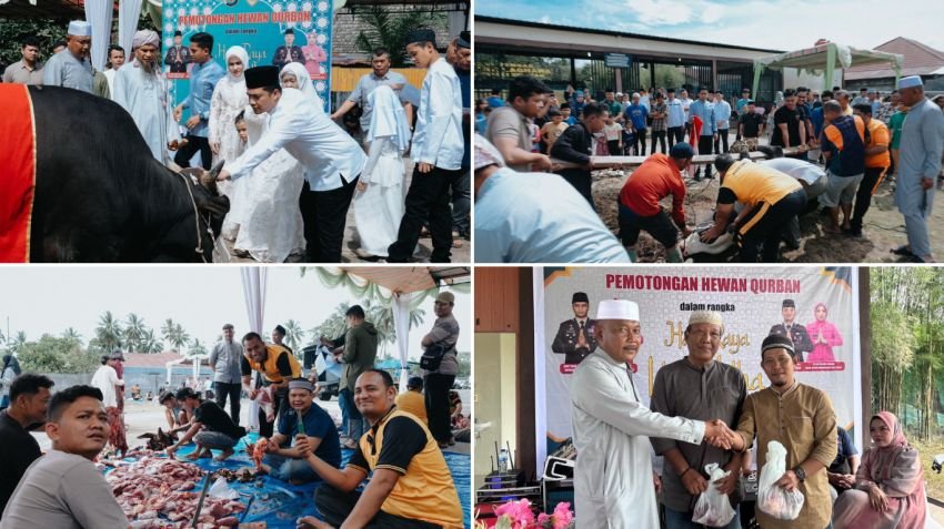 Polres Tapsel Sembelih 16 Ekor Lembu pada Idul Adha 1446 H, Pererat Ukhuwah dan Tali Silaturahmi