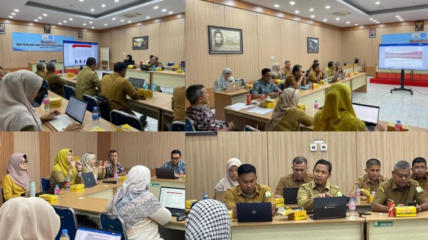 UNICEF Dukung Pemerintah Aceh dalam Sosialisasi Draft RPJMA Sektor Kesehatan dan Sanitasi