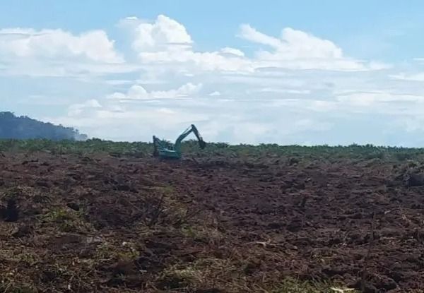 Konflik Lahan Memanas, Warga Muara Manompas Tuding PT SKL Serobot Kebun Sawit 200 Hektare