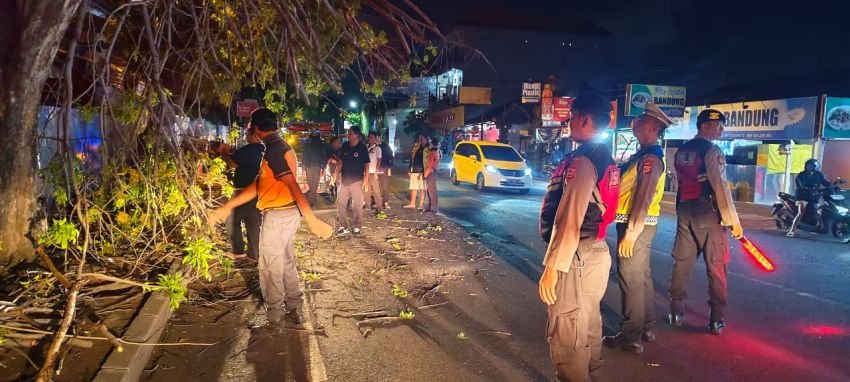 Sigap! Polsek Denpasar Selatan Amankan Lokasi Pohon Tumbang di Jl. Raya Sesetan