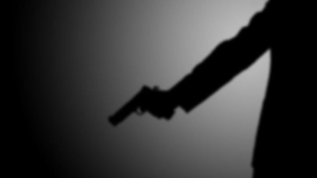 Dua Anggota Brimob Jadi Korban Pen3mb4kan Air Gun oleh Warga Kulonprogo