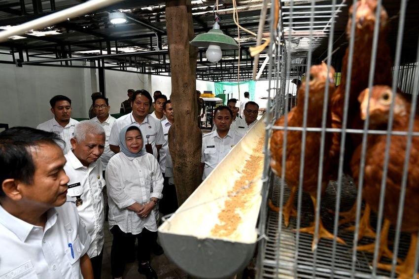 Sumut Buka Potensi Baru PAD Lewat Pemanfaatan Kawasan Hutan Tahura Bukit Barisan