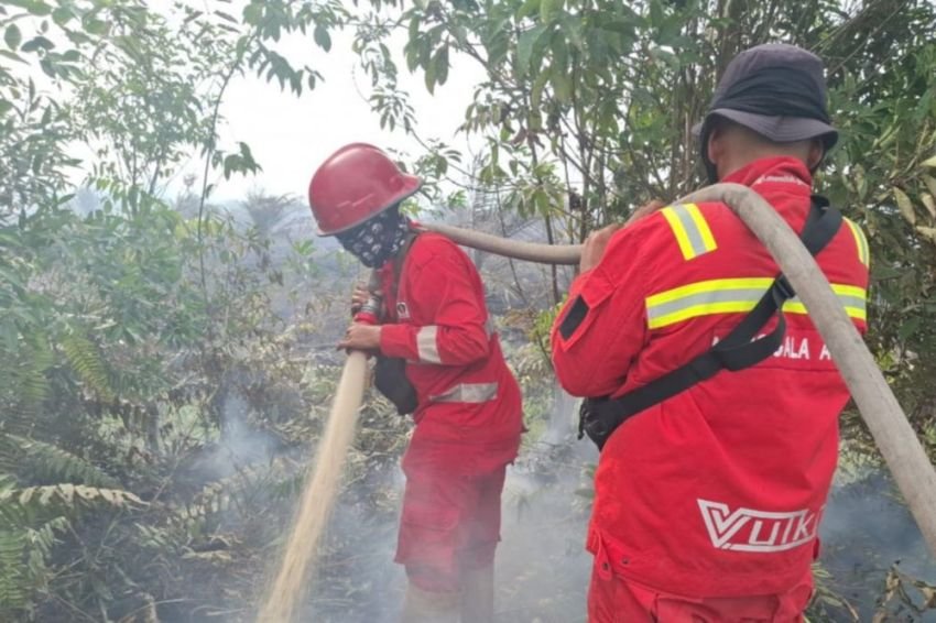 Satgas Udara Tabur 10 Ton Garam untuk Hujan Buatan di Riau, Karhutla Berhasil Diredam