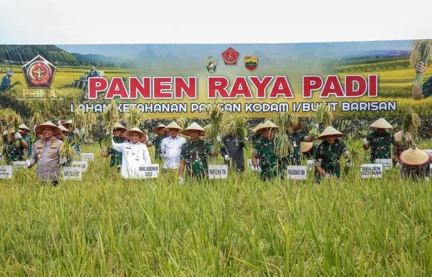 Panglima TNI Panen Raya di Deli Serdang, Dukung Swasembada Pangan Nasional