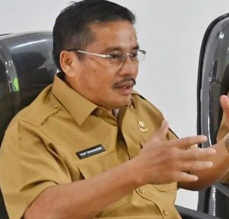 Danau Toba Raih Green Card UNESCO Meski Diterpa Karhutla, Ini Kata Sekda Sumut