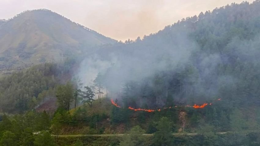 80 Kejadian Karhutla Landa Sumut, Kawasan Danau Toba Terancam