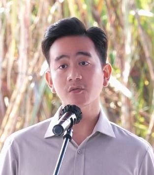 Bukan Hanya Infrastruktur, Gibran Ditugaskan Prabowo Atasi Isu HAM di Papua?