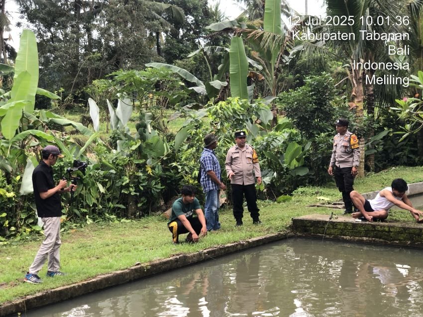 Polsek Kerambitan Syuting Film Ketahanan Pangan Bersama Mabes Polri dan PT Global Pundi Kirana