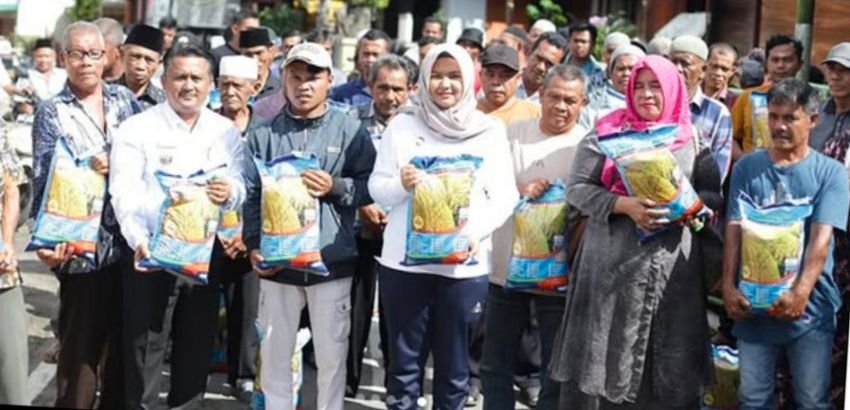 Dukung Pertanian, Wabup Madina Salurkan 23 Ton Bibit Padi untuk 162 Kelompok Tani di Kotanopan