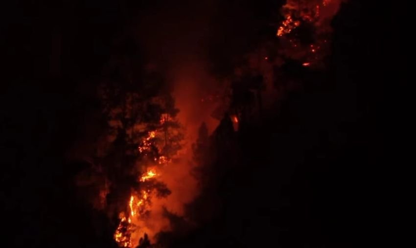 Tujuh Daerah di Sumut Tetapkan Status Siaga Darurat Karhutla, BPBD: Pencegahan Terus Diperkuat