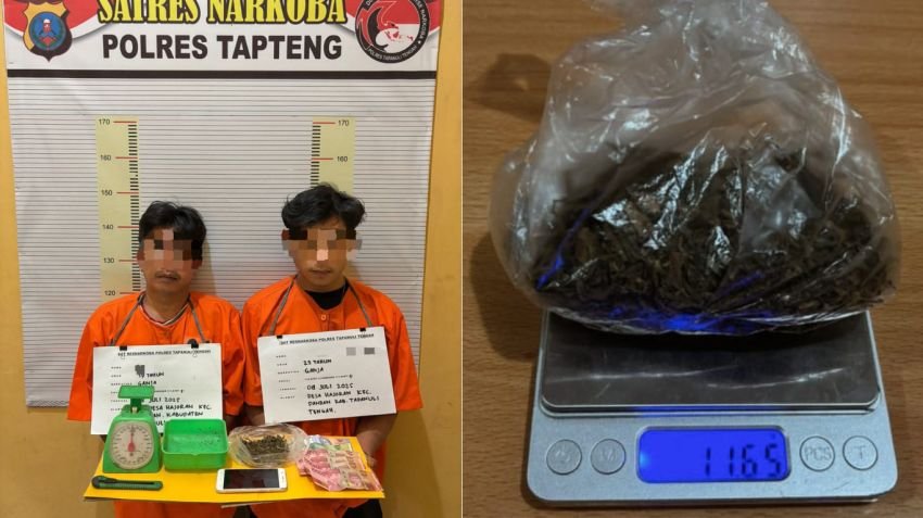 Dua Pengedar Ganja Diamankan di Tapanuli Tengah, Polisi Temukan 11,65 Gram Barang Bukti