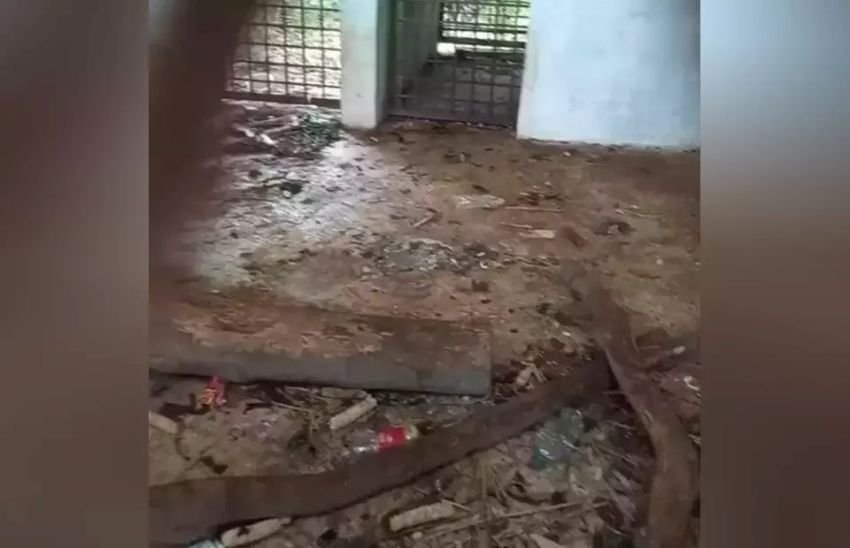 Viral! Kondisi Kebun Binatang di Medan Jorok dan Bau, Pengunjung Kecewa