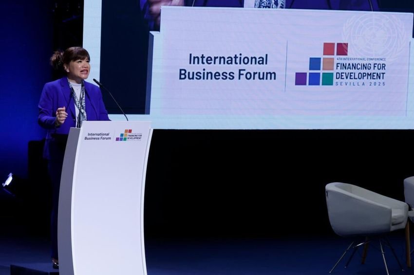 FFD4 di Spanyol, Suara Dunia Usaha Negara Berkembang Resmi Diakui: Shinta Kamdani Jadi Co-Chair Komite Global