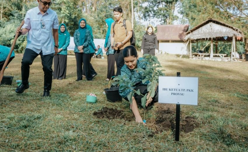 Peringati HKG ke-53, Kahiyang Ayu Tanam 100 Pohon di Tahura Karo: Dorong Kesadaran Lingkungan