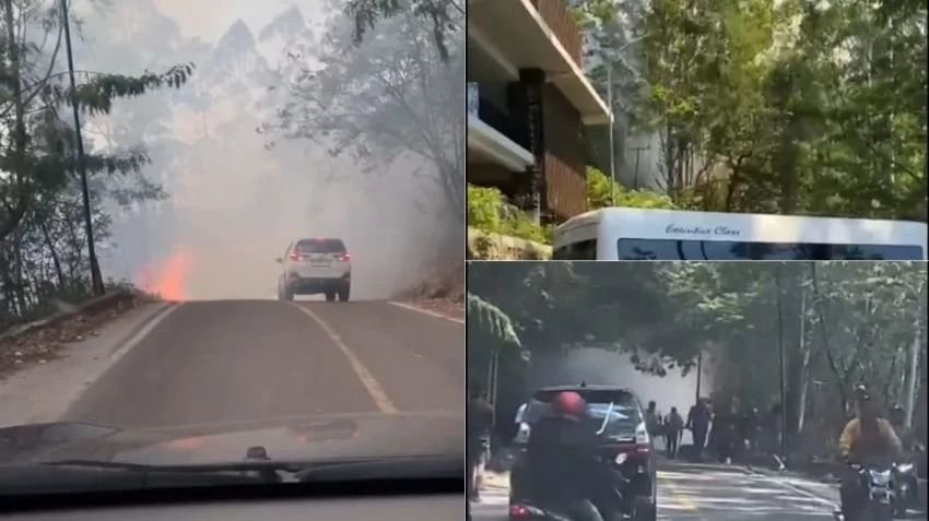 Karhutla Hanguskan 100 Hektare di Samosir, Diduga Akibat Puntung Rokok Pengendara