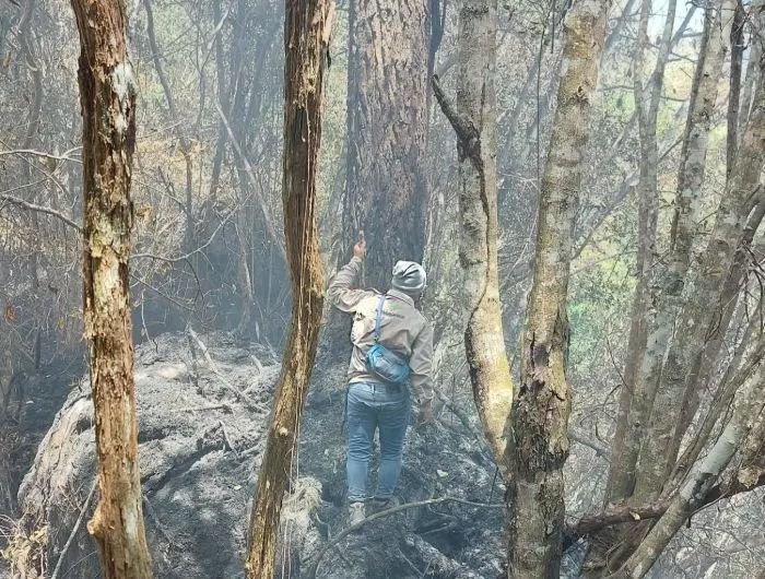 Karhutla Landa Hutan Lindung Sibaganding Simalungun, Warga dan Forkopimcam Bahu-Membahu Padamkan Api