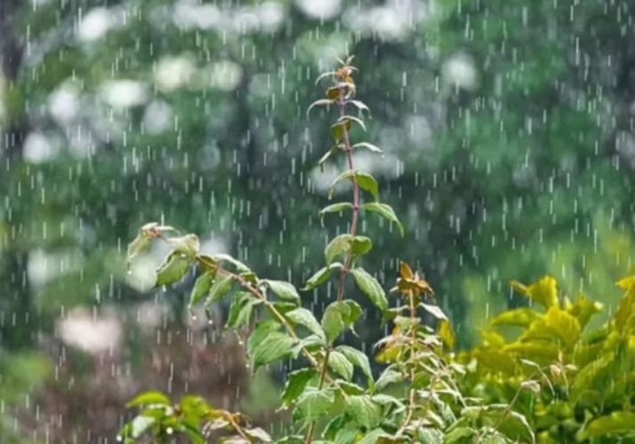 Prakiraan Cuaca Sumatera Utara: Mayoritas Wilayah Diguyur Hujan Ringan Hari Ini