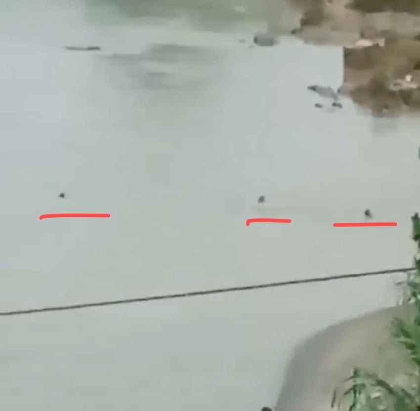 Tragis! Staf Kejari Simalungun Hilang Terseret Arus Sungai Saat Tangkap Pangulu Korup