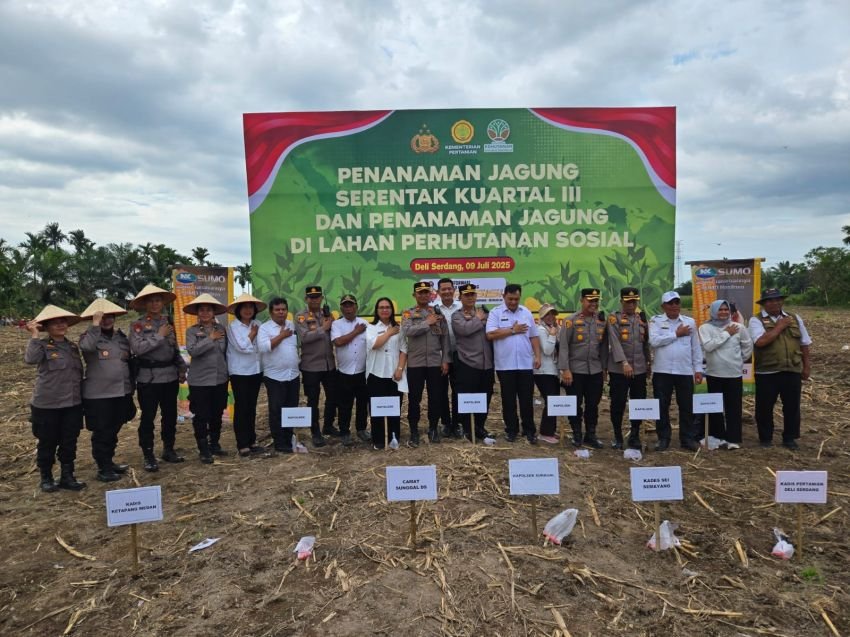 Polrestabes Medan Lakukan Penanaman Jagung Serentak Kuartal III di Sunggal: Dukung Swasembada Pangan