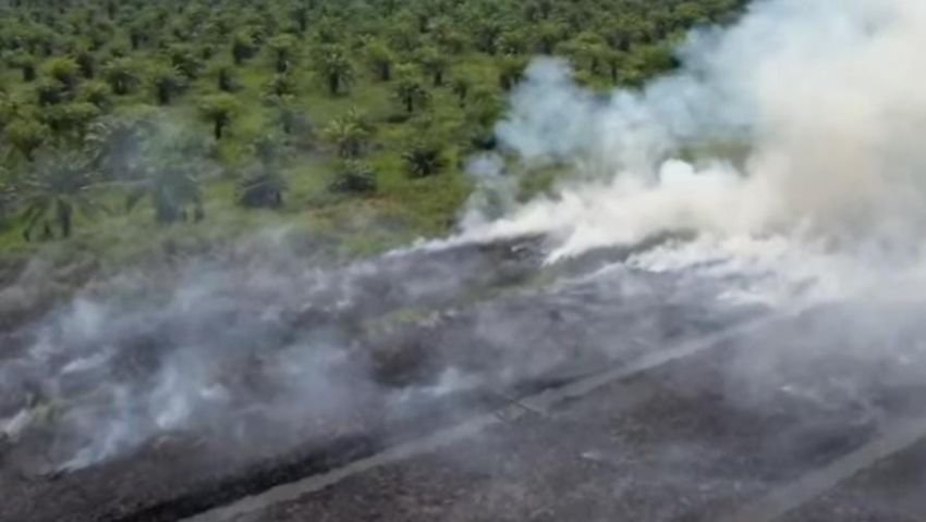 Polda Riau Tangkap Pelaku Karhutla di Rohil, Mengaku Bakar Lahan Agar Terang Cari Ikan