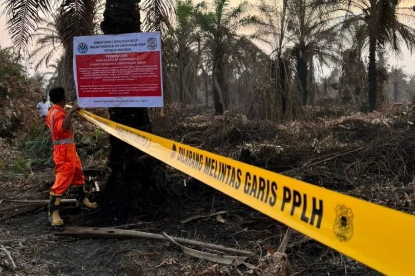 KLH Segel 5 Perusahaan Pemicu Karhutla di Riau, Operasional Dihentikan