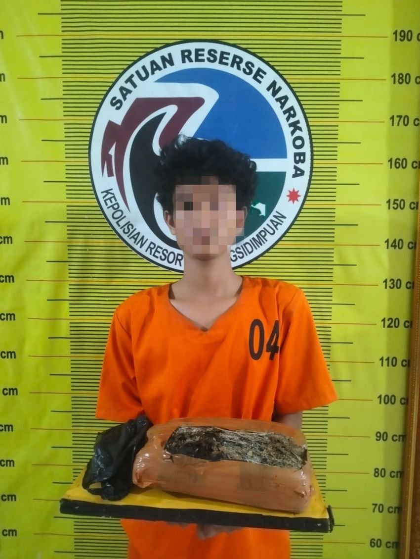 Satres Narkoba Polres Padangsidimpuan Amankan Pemuda Bawa 1 Kg Ganja, Akui Peroleh dari Angkola Muara Tais