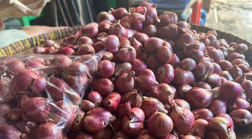 Dampak Kemarau, Harga Bawang Merah di Toba Tembus Rp56 Ribu: Petani Lirik Peluang Usaha