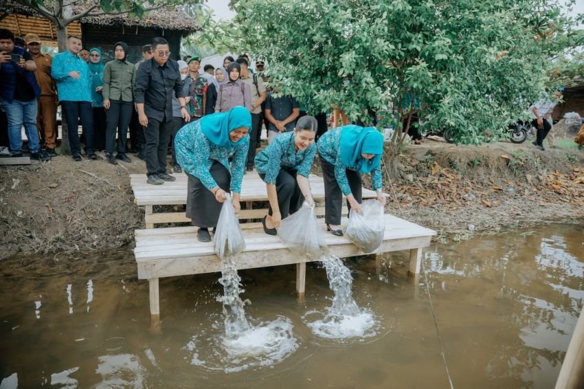 Kahiyang Ayu Tabur 15.000 Benih Ikan Nila di Langkat, Dorong Ketahanan Pangan Berbasis Perikanan