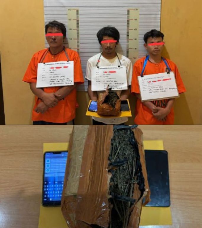 Polres Tapanuli Tengah Bekuk Tiga Pengedar Ganja, Sita 900 Gram Barang Bukti di Pinang Sori