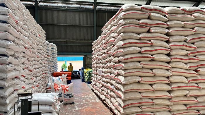 Harga Beras Naik di 200 Kabupaten/Kota, Tertinggi Sentuh Rp60 Ribu per Kilogram!