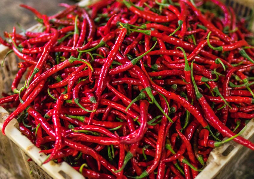 Harga Pangan Turun Serentak, Cabai hingga Minyak Goreng Lebih Murah