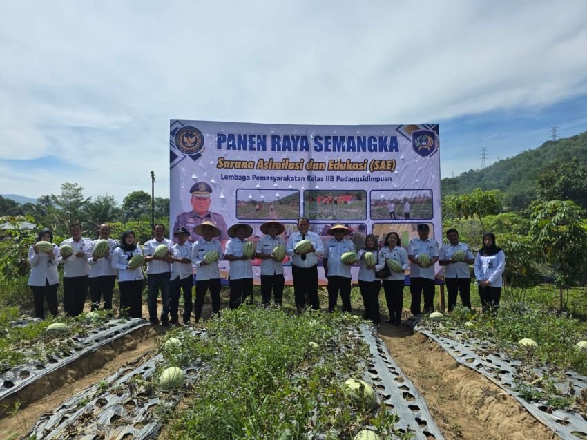 Panen Raya Perdana, Lapas Kelas IIB Padangsidimpuan Panen Buah Semangka Bersama Dinas Pertanian